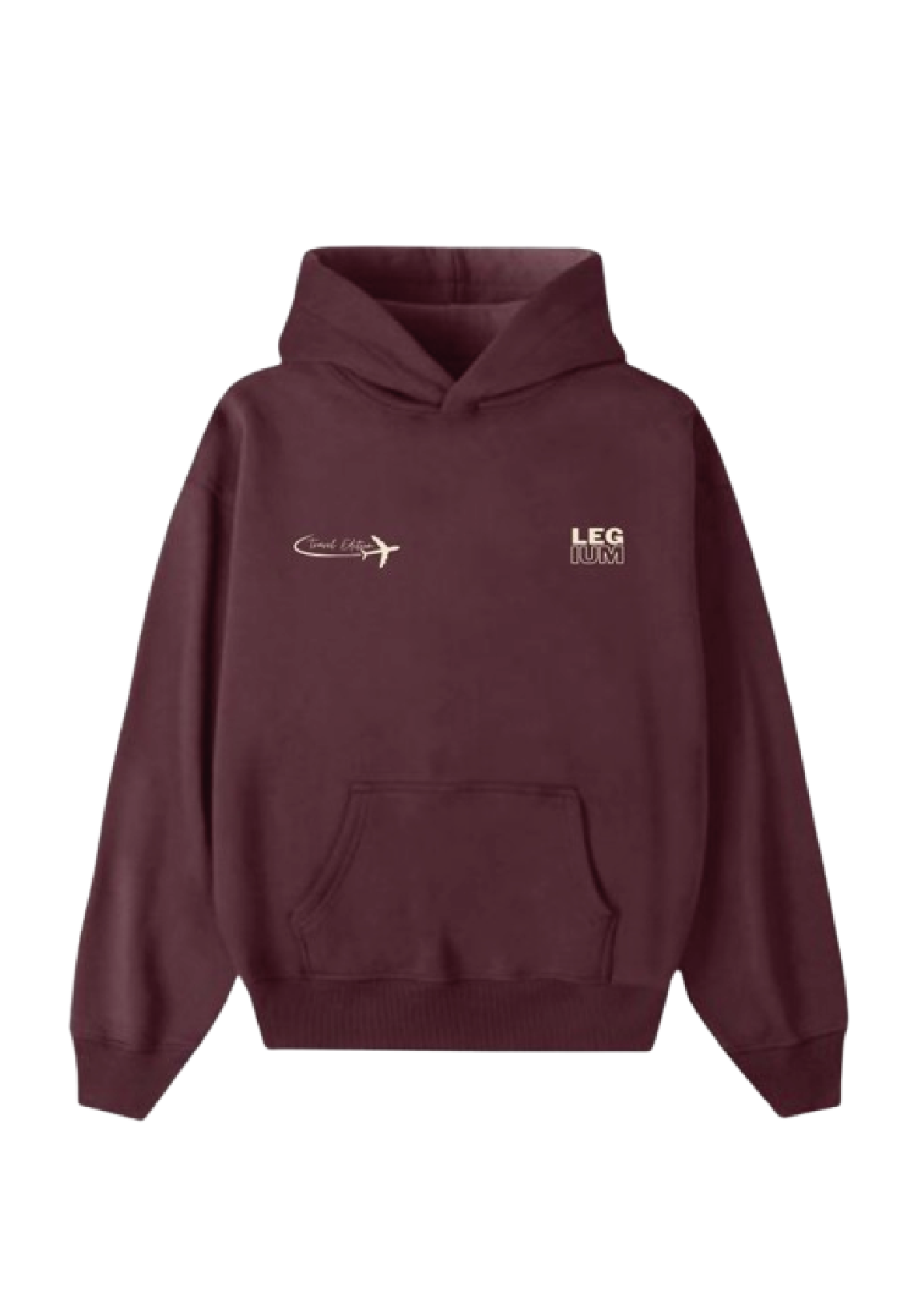 Travel Hoodie